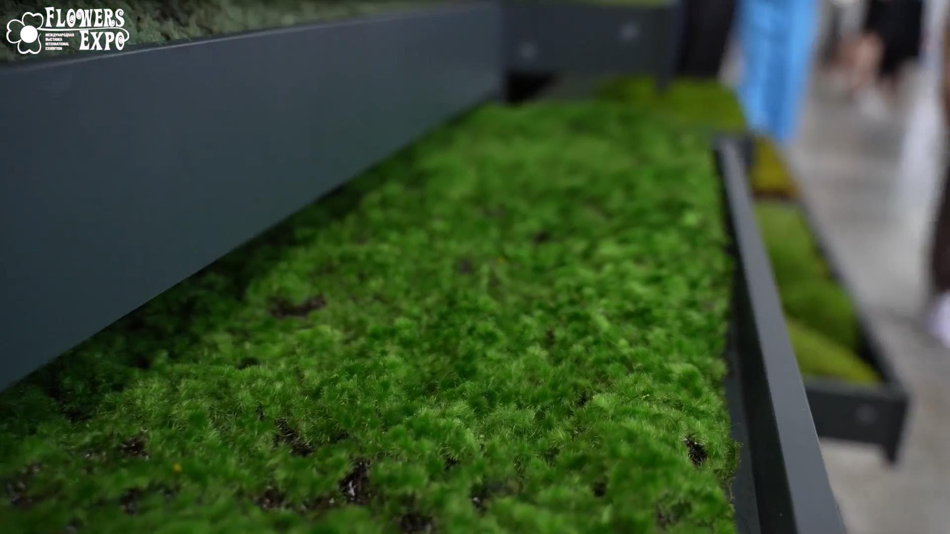 GreenExpo